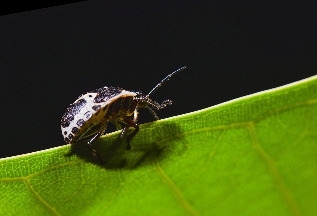 #版主坐堂#小五星空(中国)2022年11月精品荟萃