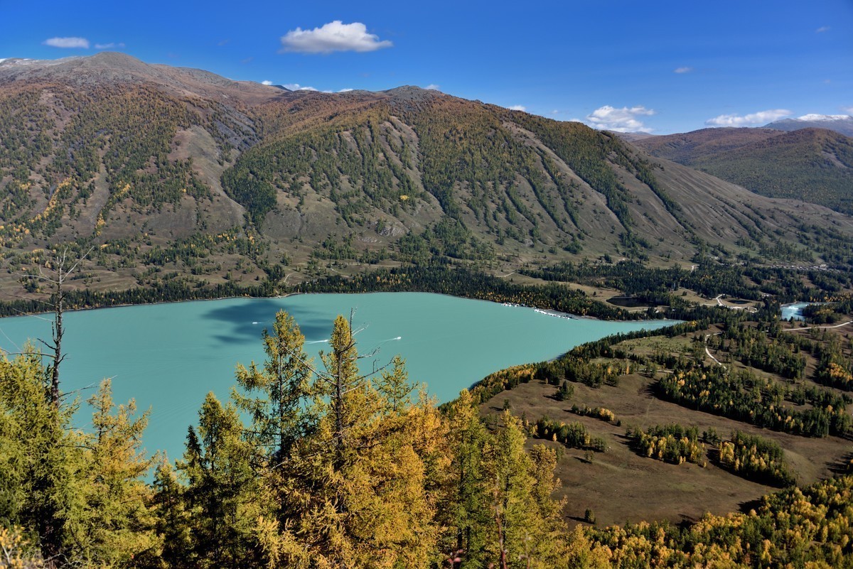 #版主坐堂#小五星空(中国)2022年11月精品荟萃