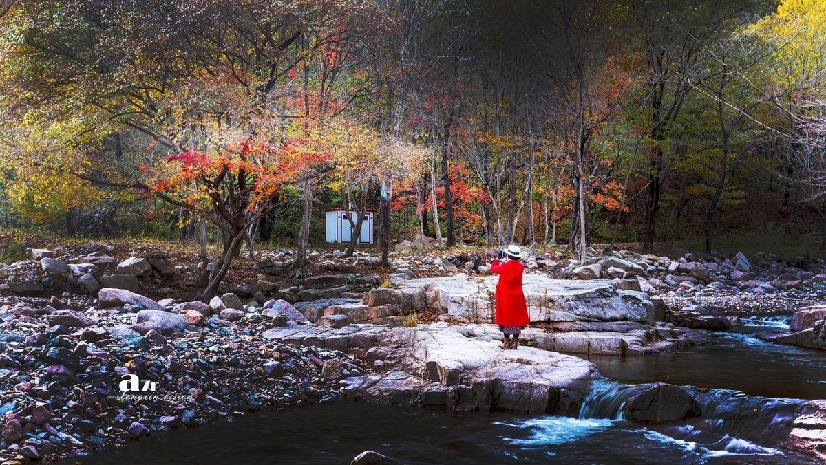 #版主坐堂#小五星空(中国)2022年11月精品荟萃