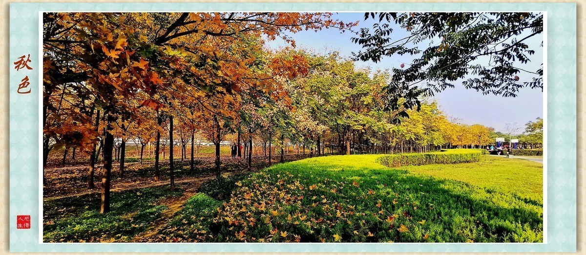 #版主坐堂#小五星空(中国)2022年11月精品荟萃