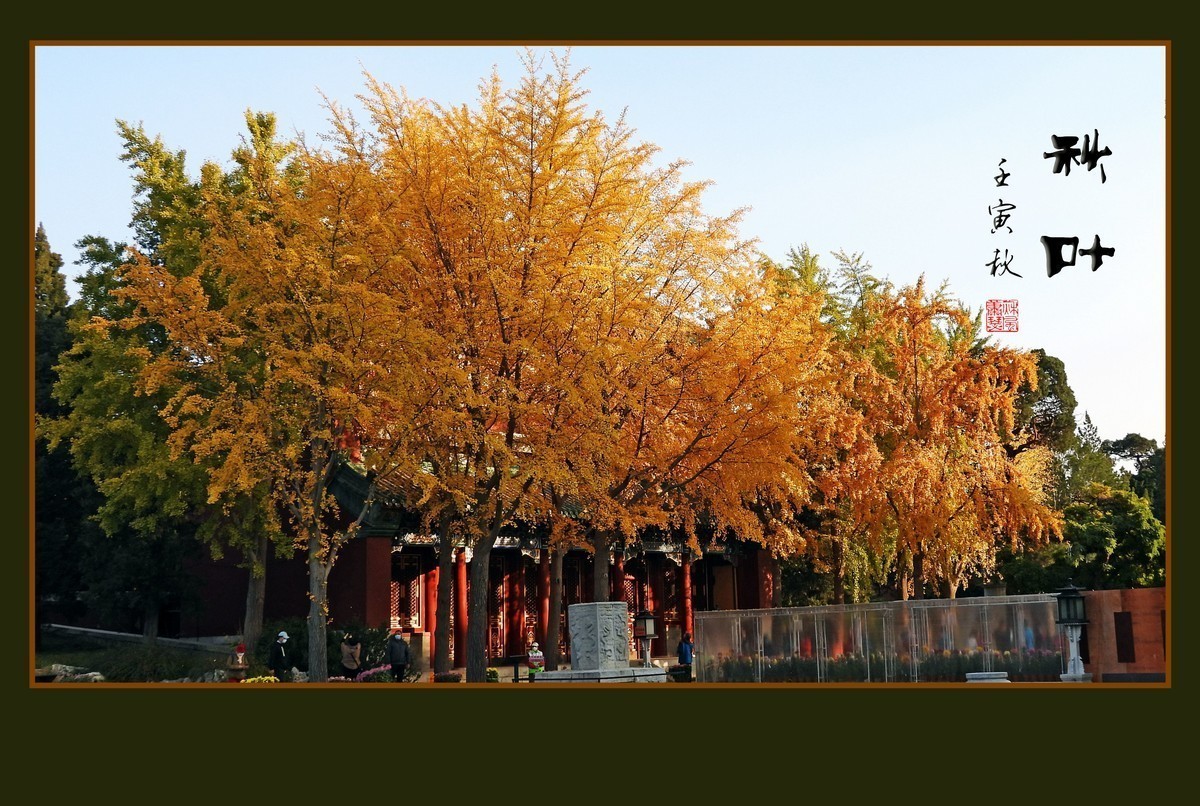 #版主坐堂#小五星空(中国)2022年11月精品荟萃