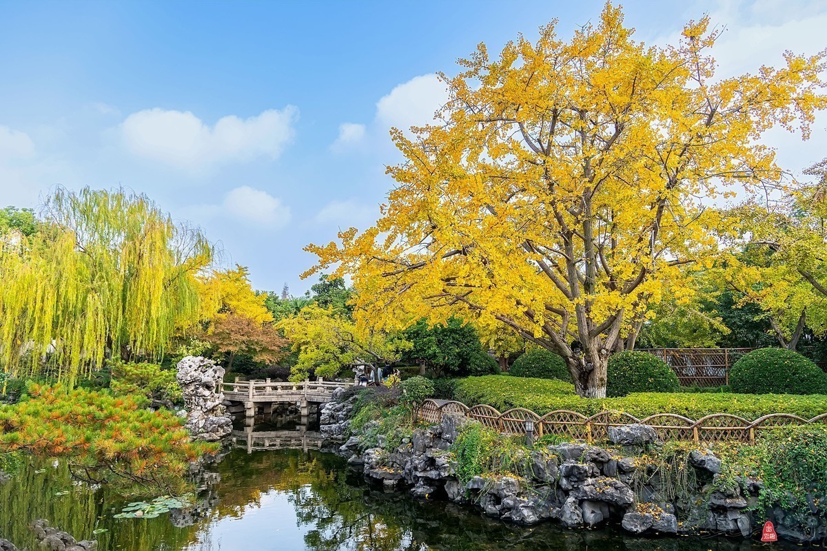 #版主坐堂#小五星空(中国)2022年11月精品荟萃