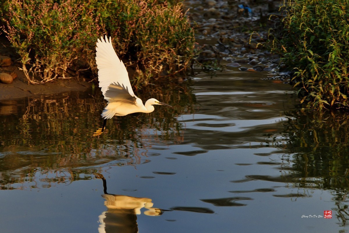 #版主坐堂#小五星空(中国)2022年11月精品荟萃