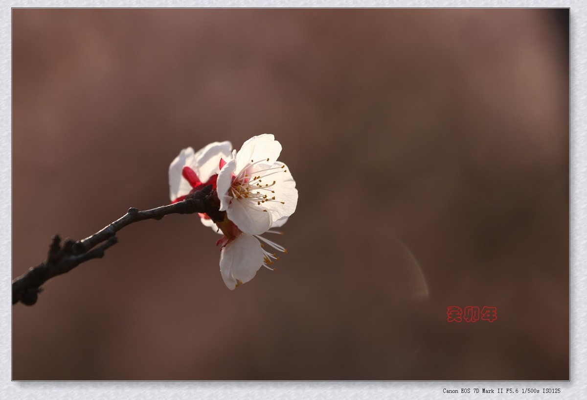 杂拍 3【2023-0258】