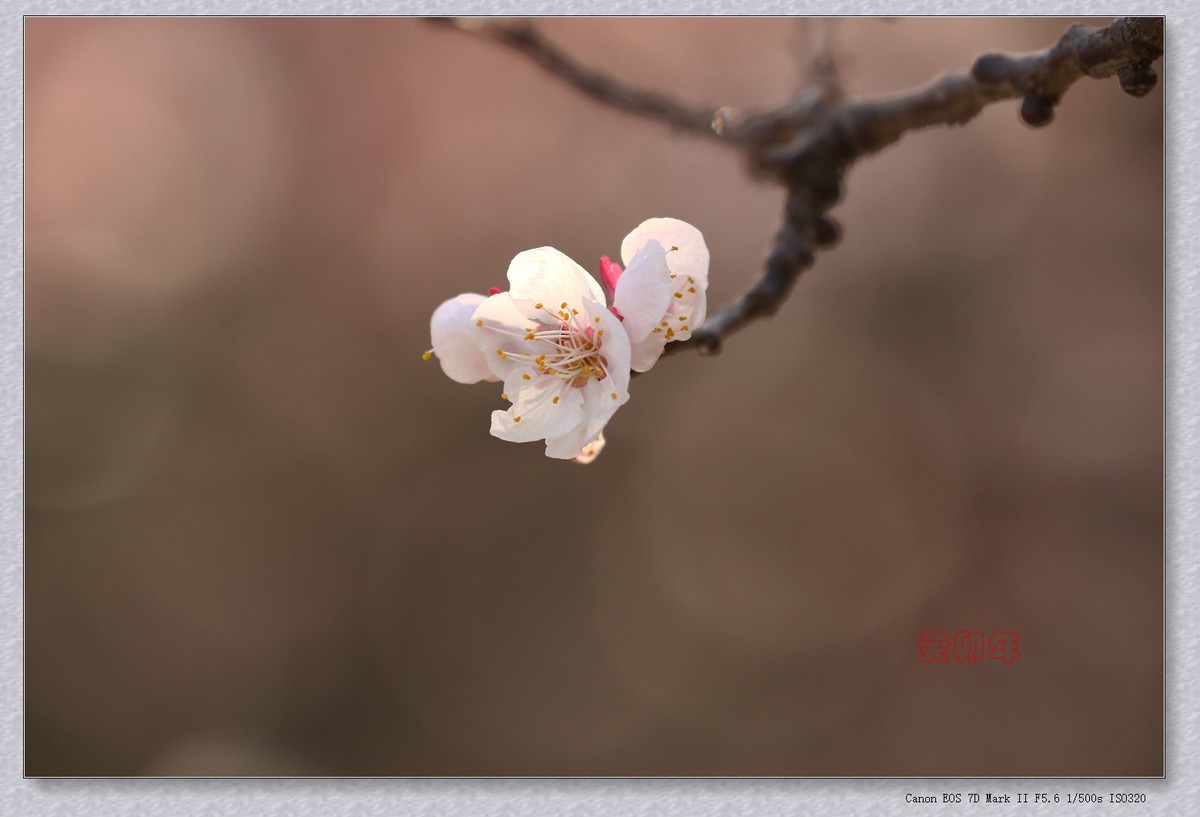 杂拍 3【2023-0258】