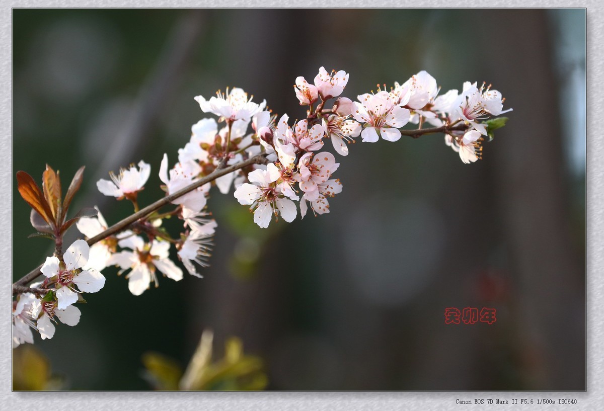 杂拍 3【2023-0258】