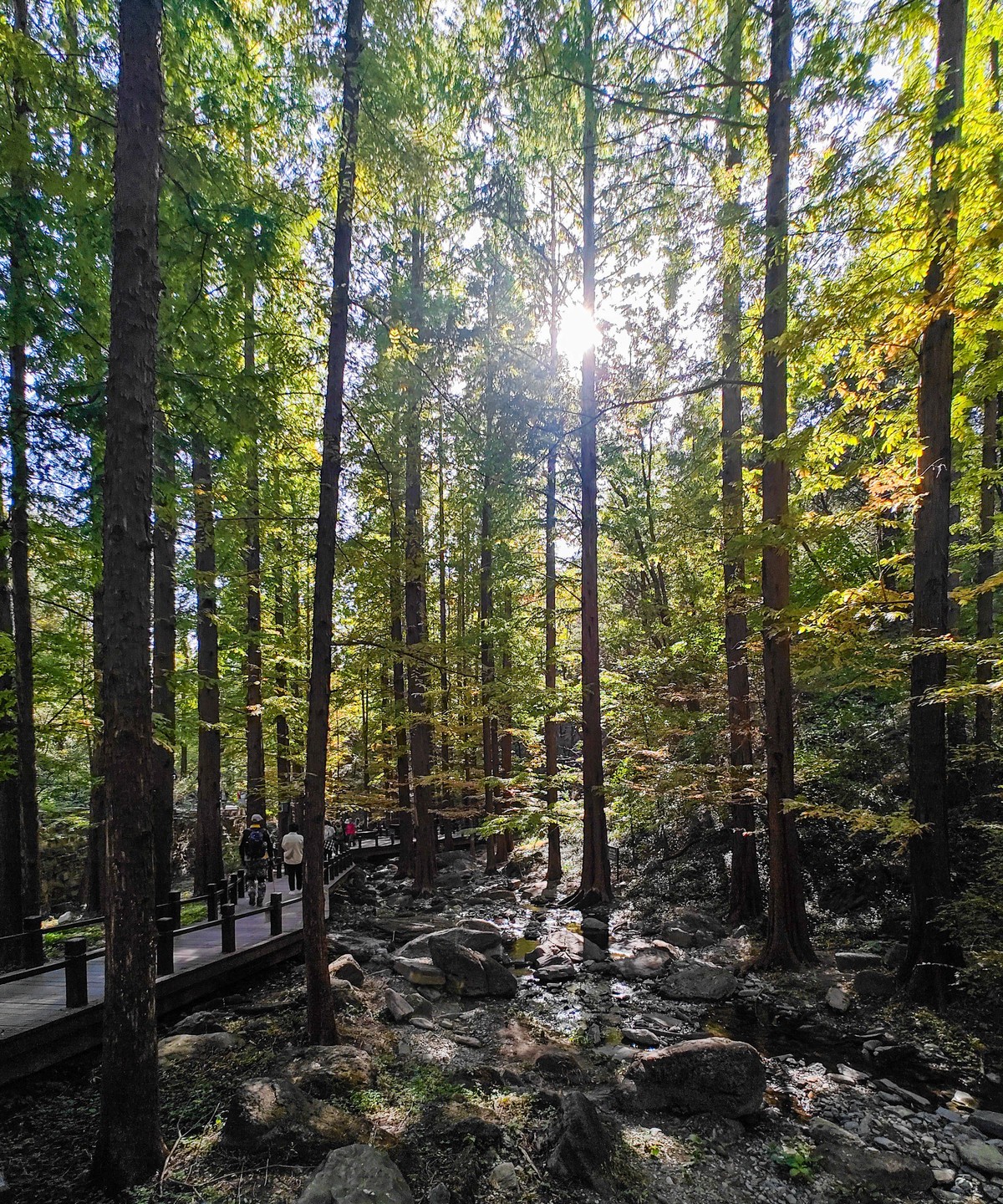 手机随拍20231026 《252》