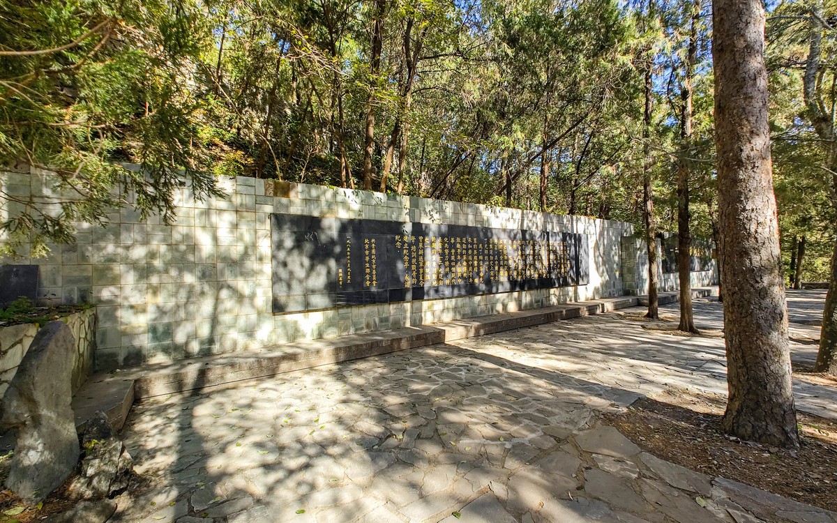 手机随拍20231026 《252》