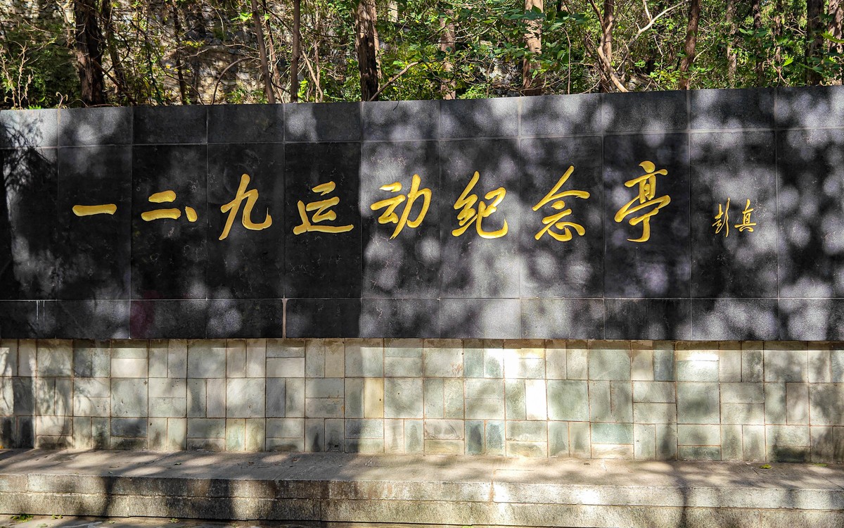 手机随拍20231026 《252》