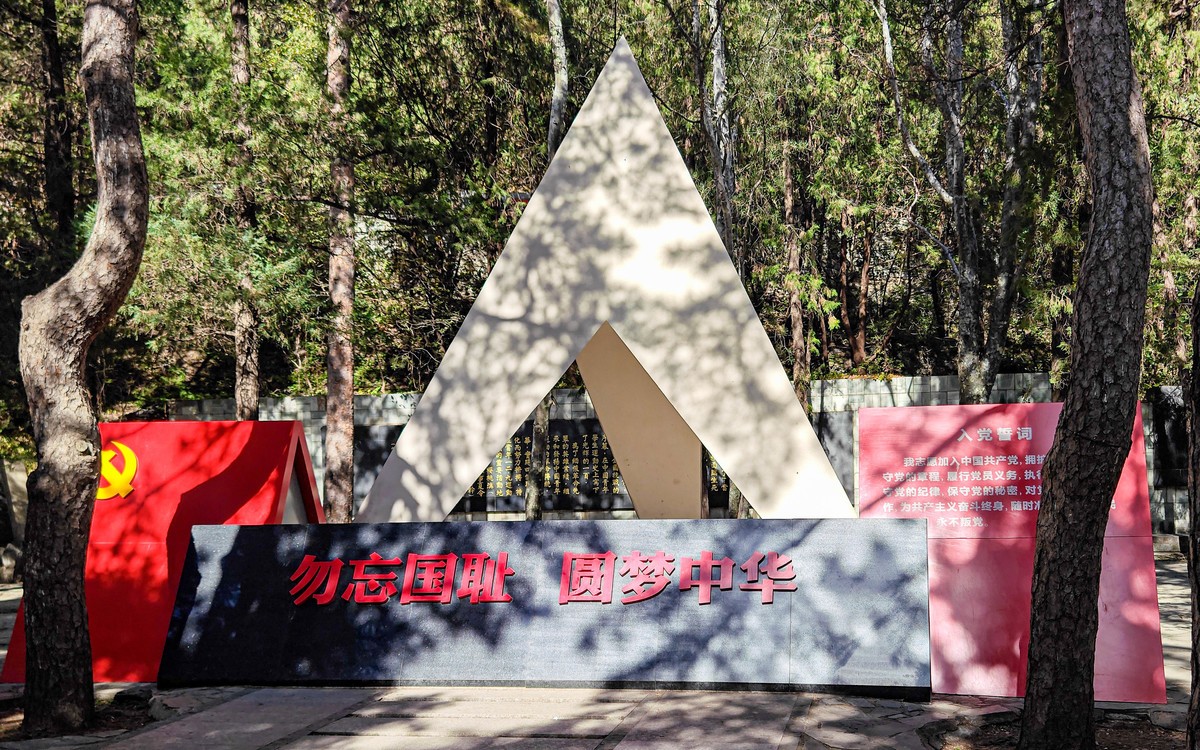 手机随拍20231026 《252》