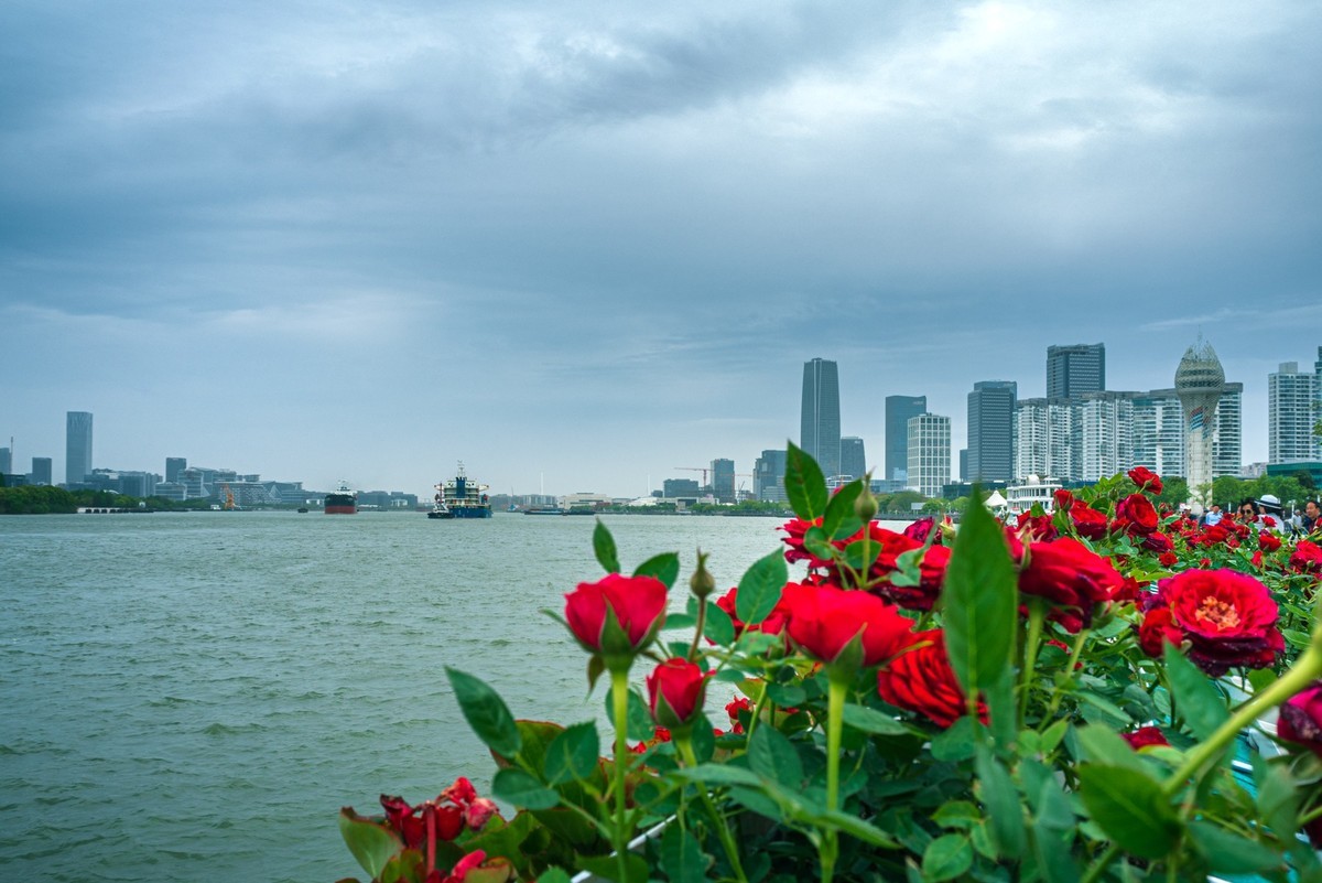 2024国际花展徐汇滨江分会场