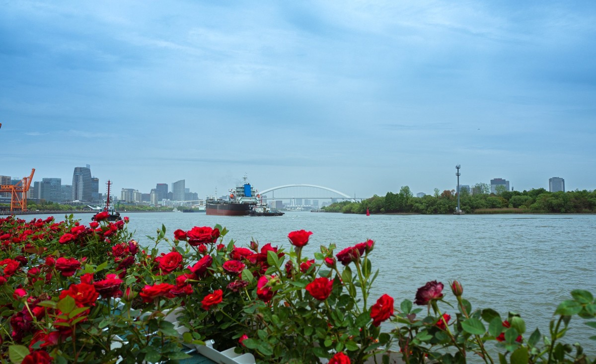 2024国际花展徐汇滨江分会场