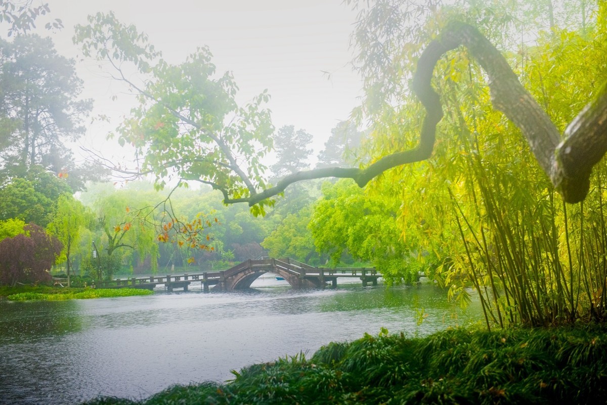 杭州—西湖—曲院风荷