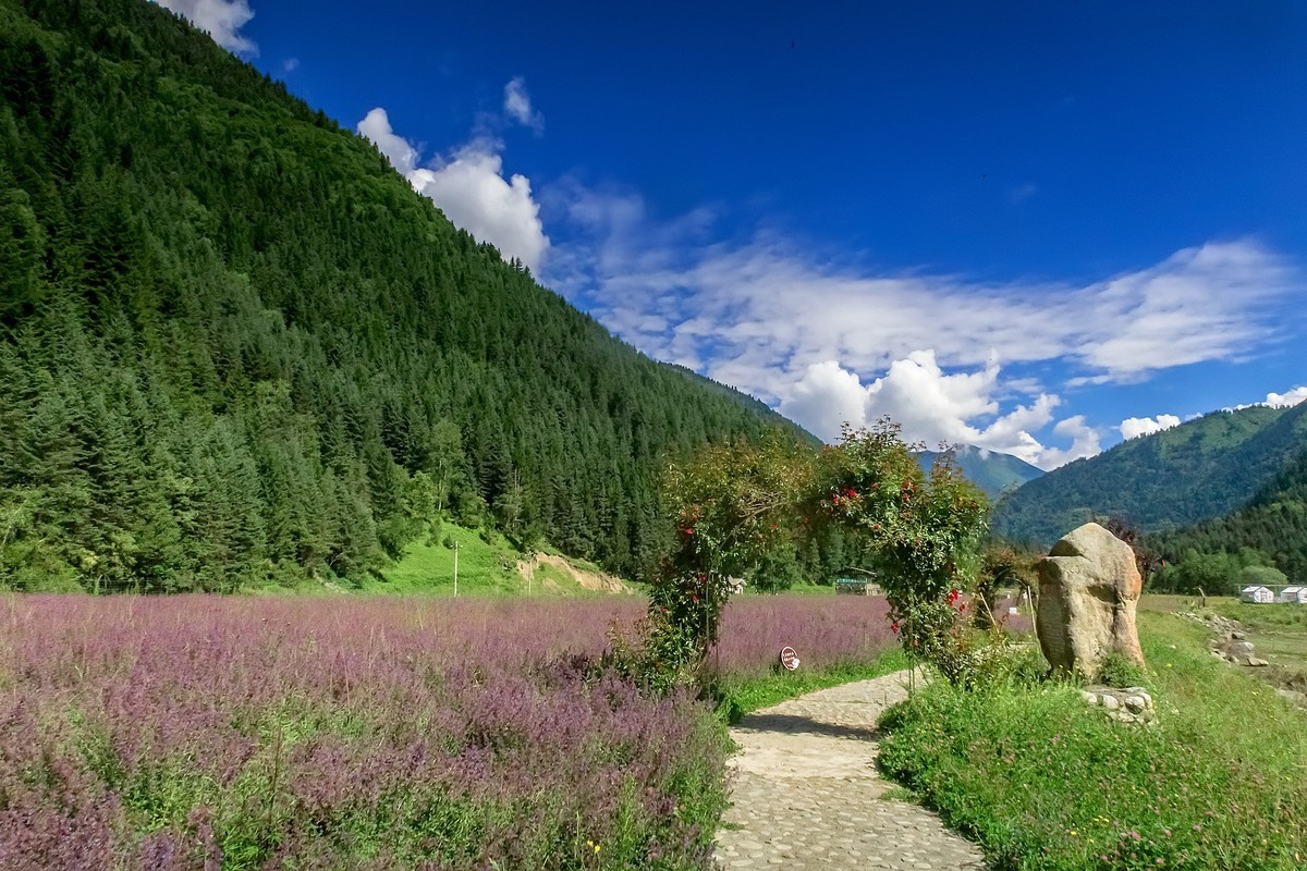 阿坝黑水 · 达古冰川