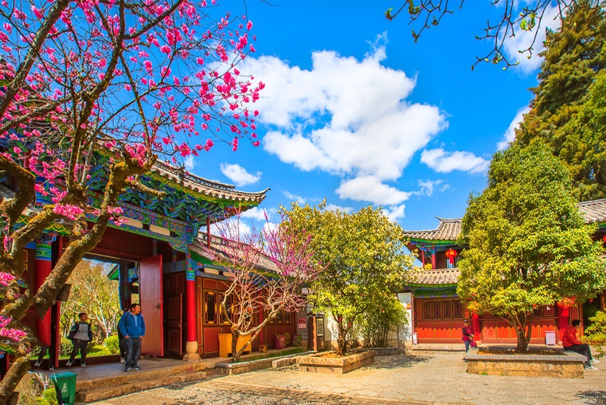 2024-09-19云南丽江黑龙潭公园（九）