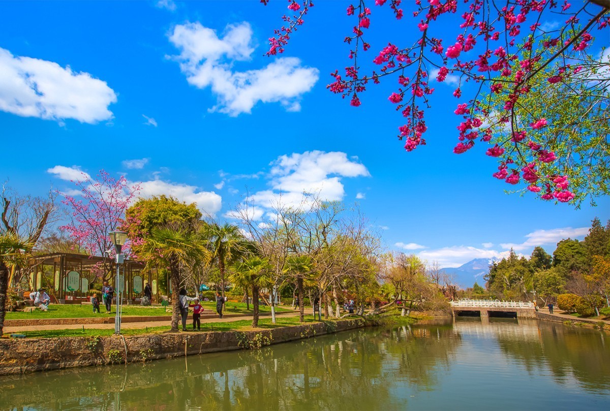 2024-09-19云南丽江黑龙潭公园（九）