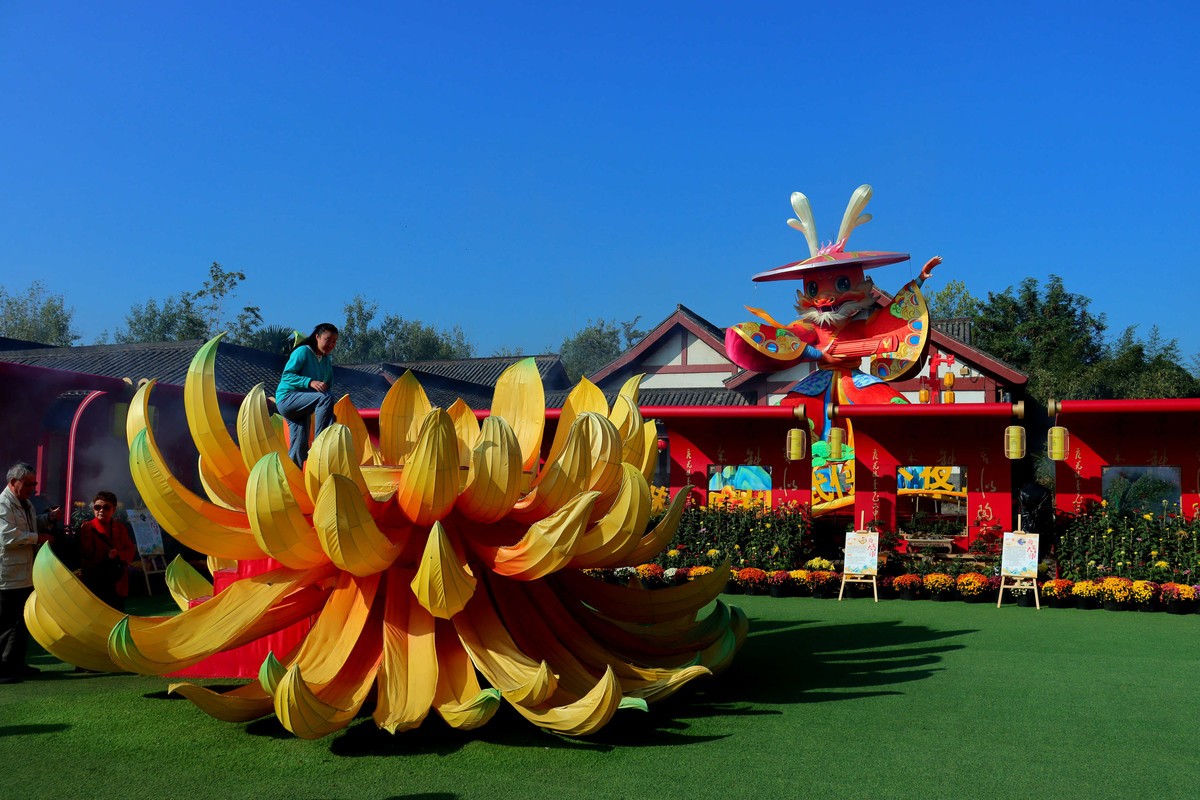 24-271 开封菊展-6