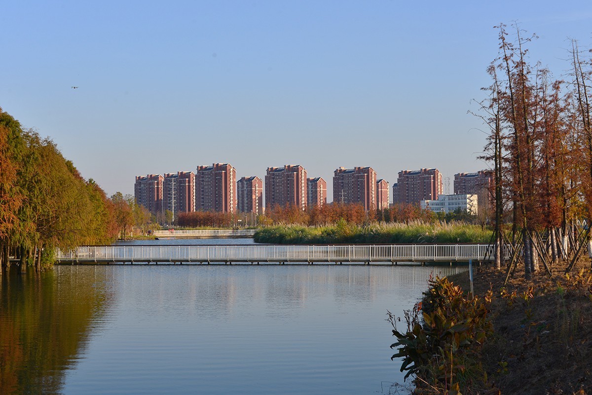 冬色堪比春色美