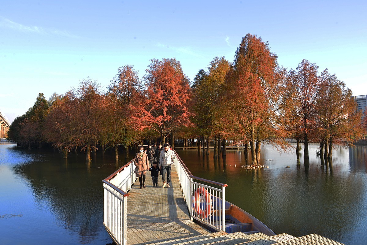 冬色堪比春色美