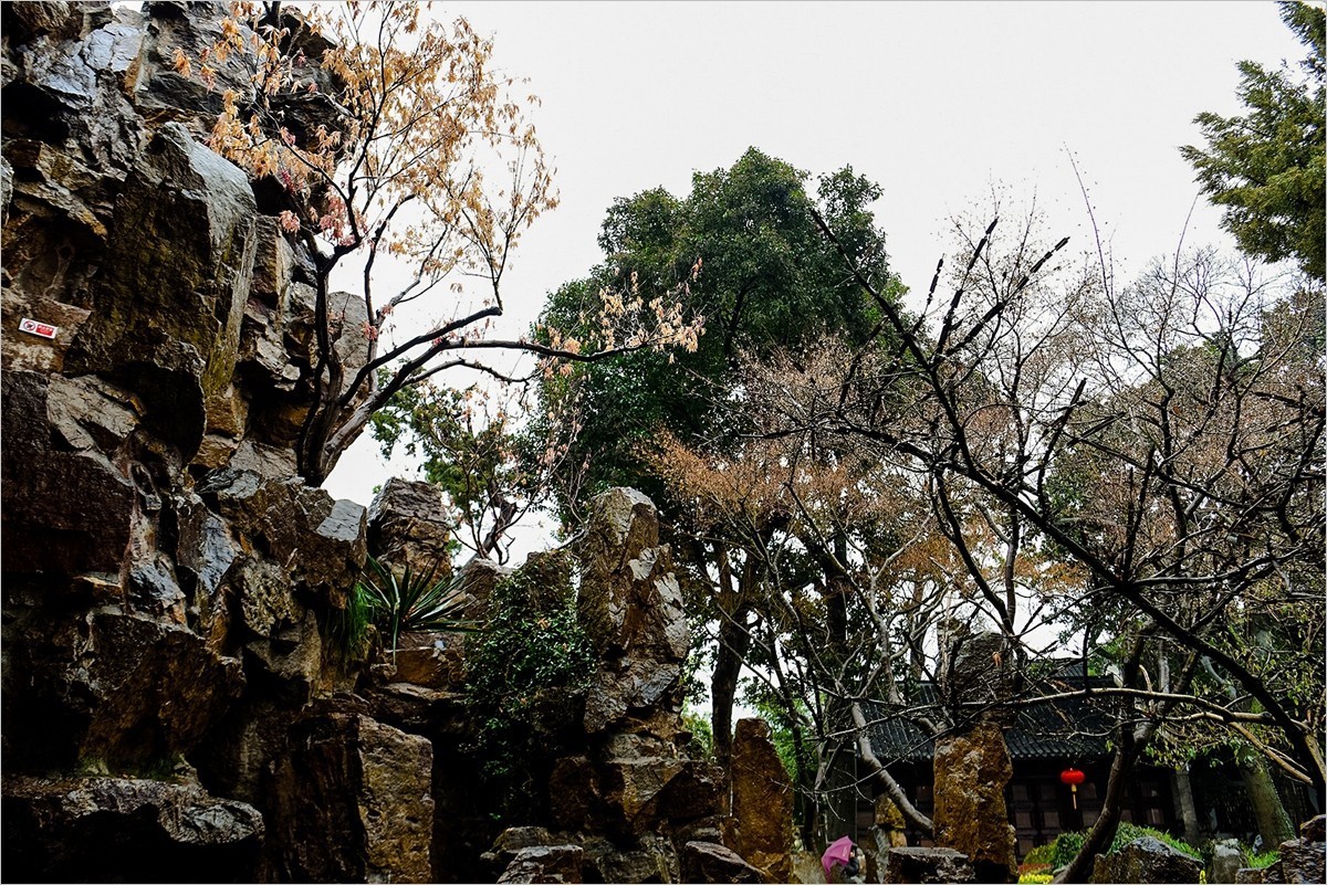 2025年第0058贴-扬州瘦西湖旅拍（0120）