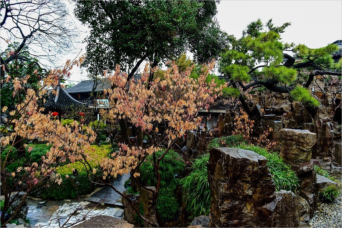 2025年第0058贴-扬州瘦西湖旅拍（0120）