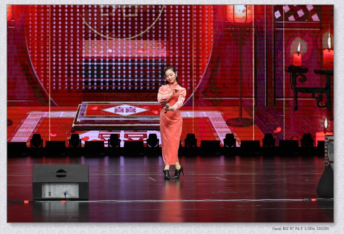 贺新年乡音乡情梨园名家戏曲演唱会