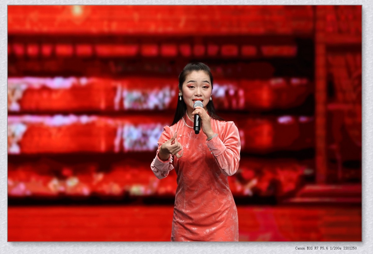 贺新年乡音乡情梨园名家戏曲演唱会