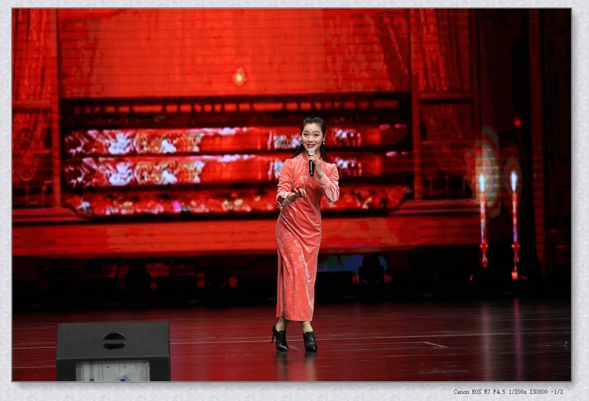 贺新年乡音乡情梨园名家戏曲演唱会