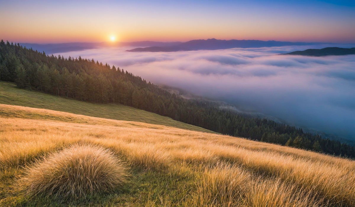 心中的那片净土