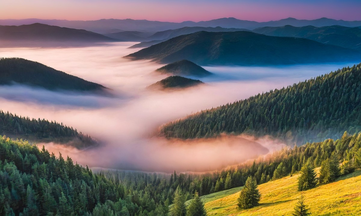 心中的那片净土