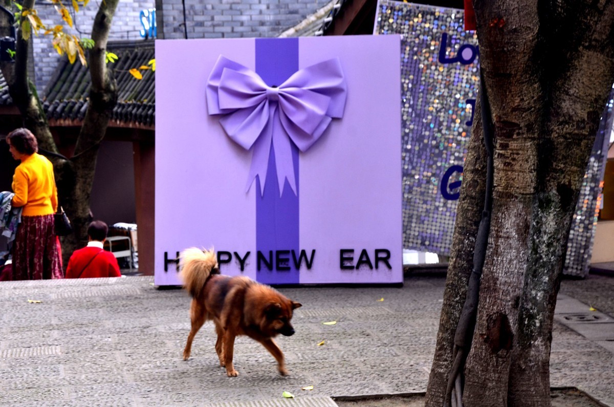 南坪后堡80街 （完）