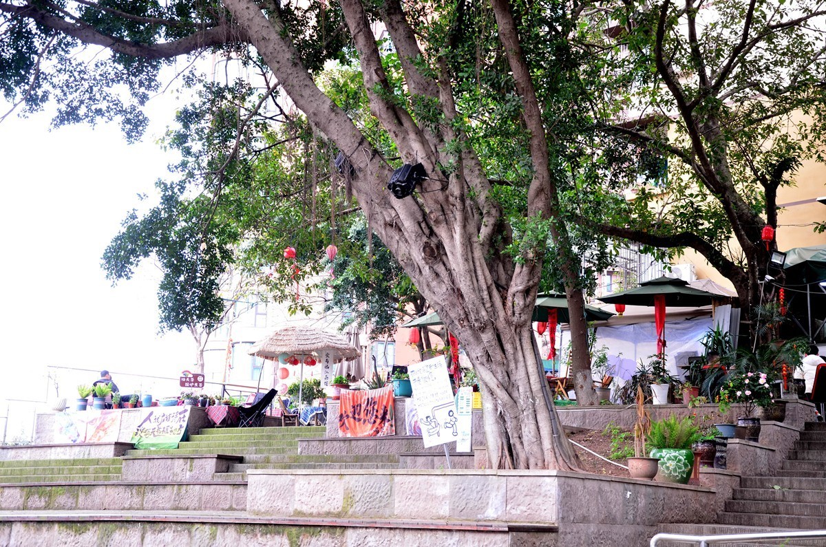 南坪后堡80街 （完）