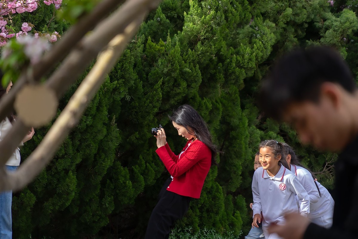 赏花陶然亭（8）