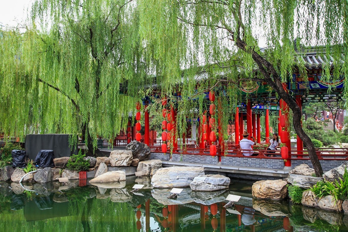 我只是把出去看到的最受记录下来（103）