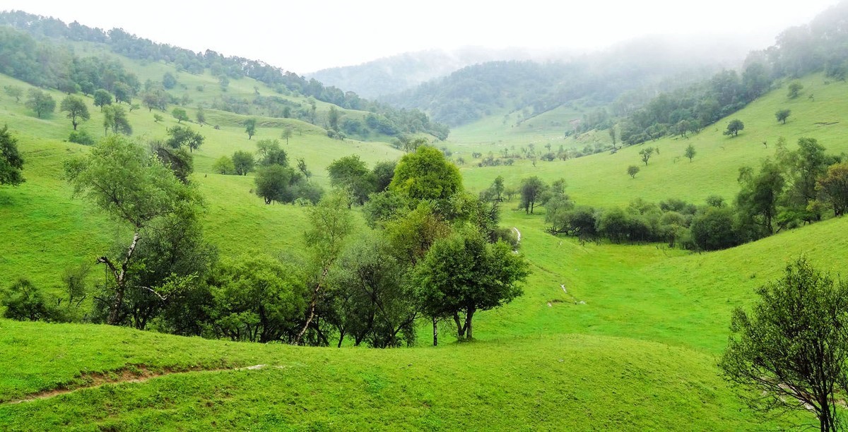 我只是把出去看到的最受记录下来（103）