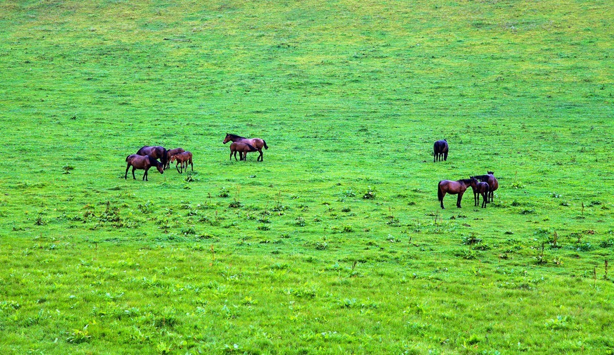 我只是把出去看到的最受记录下来（103）