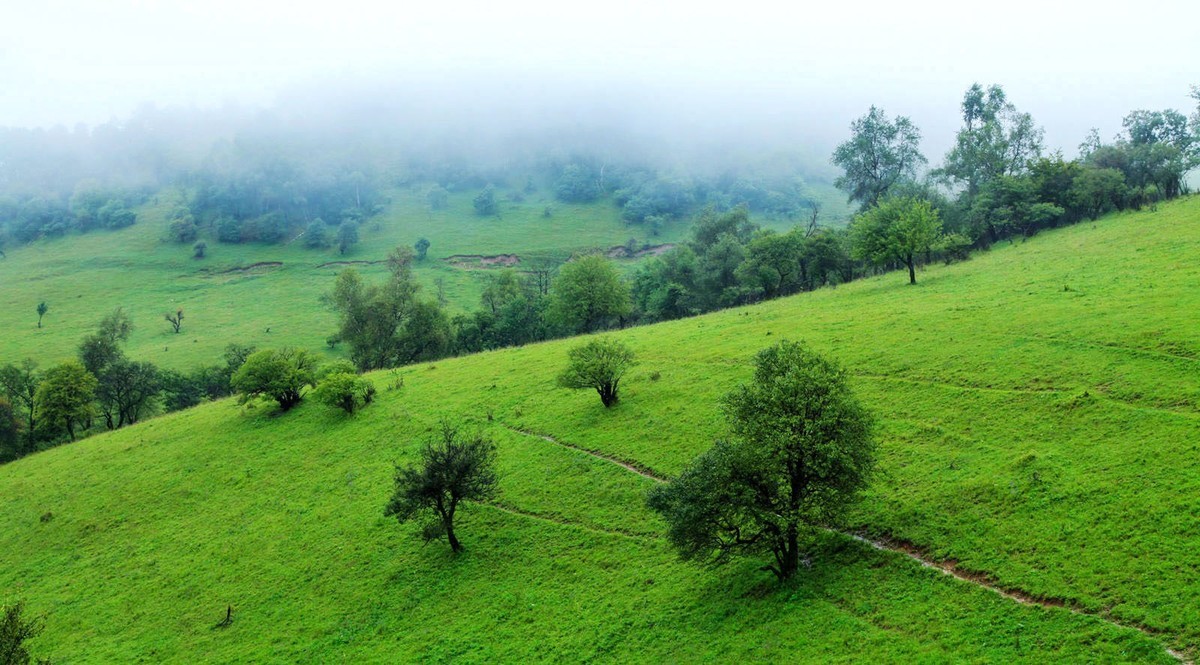 我只是把出去看到的最受记录下来（103）