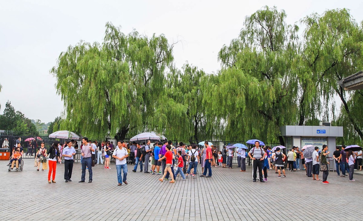 我只是把出去看到的最受记录下来（103）