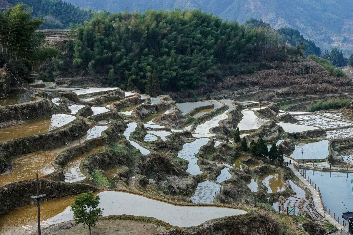 云和梯田