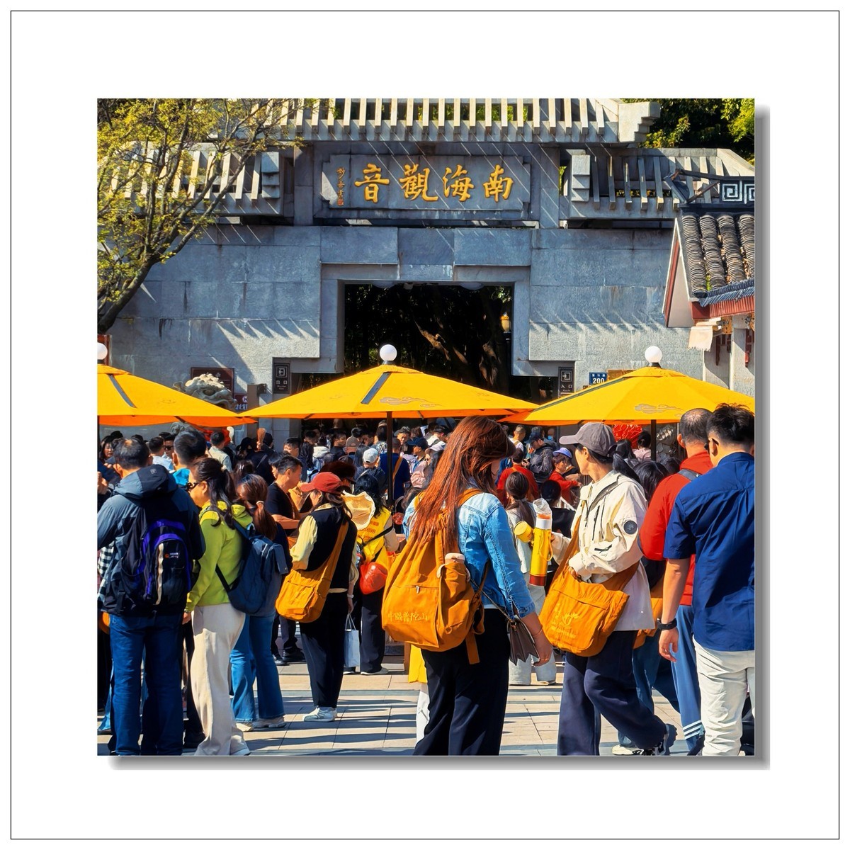 2025一一再游江南