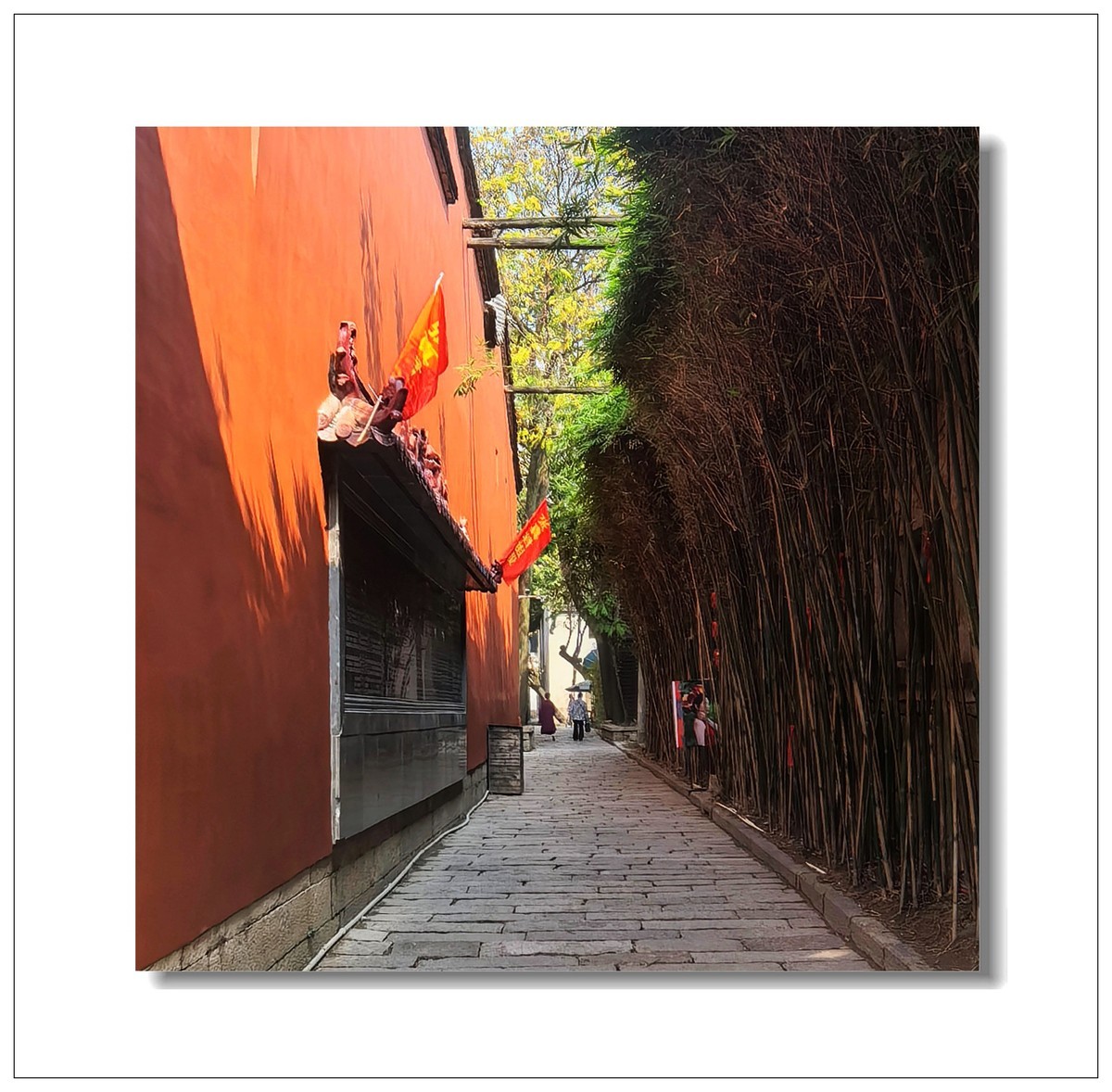 2025一一再游江南