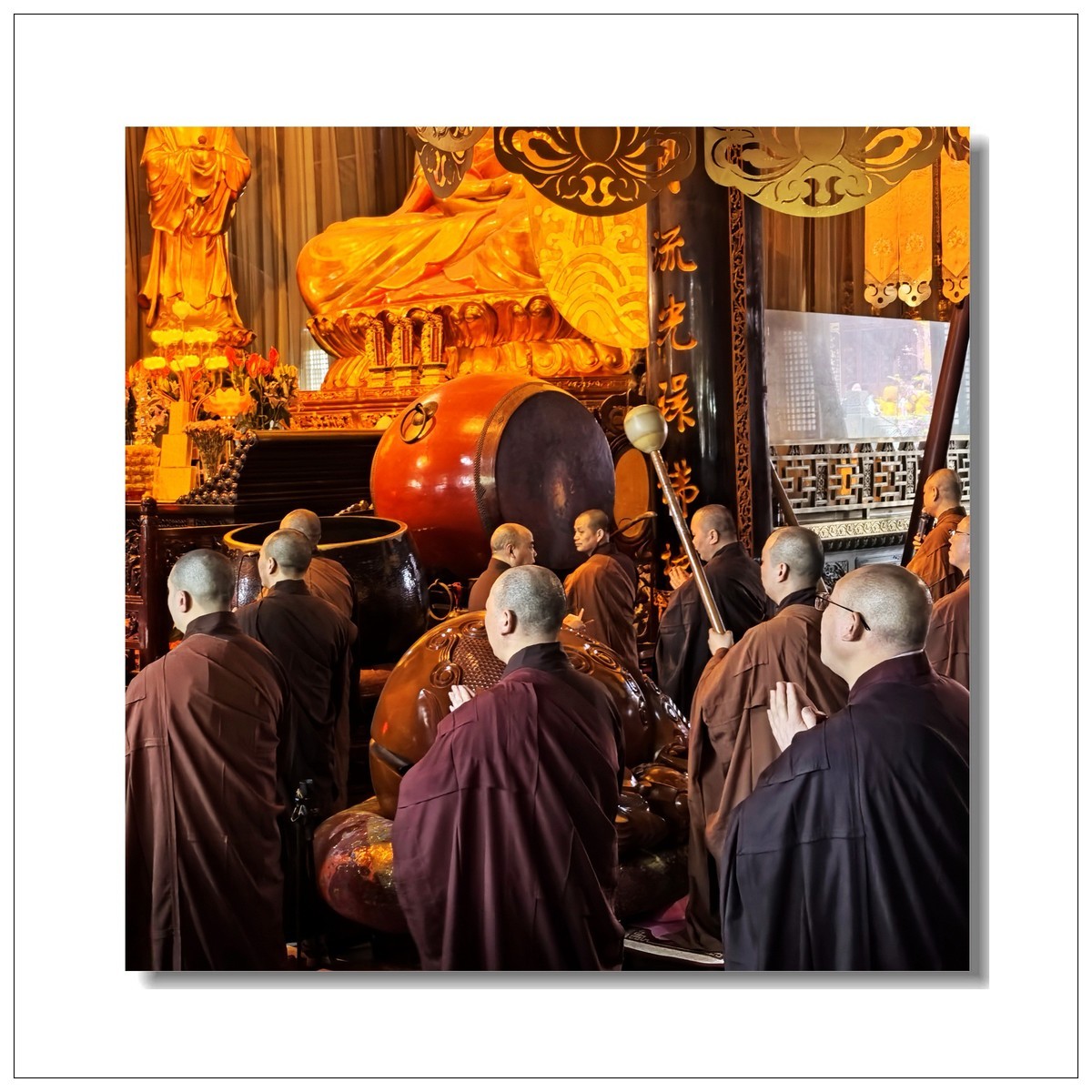 2025一一再游江南