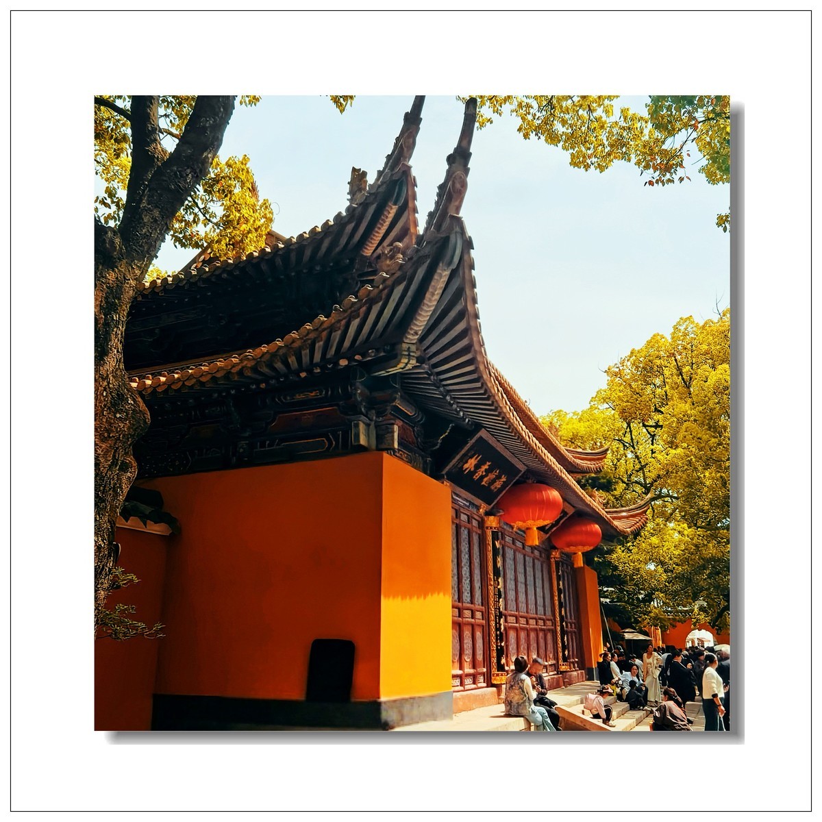 2025一一再游江南