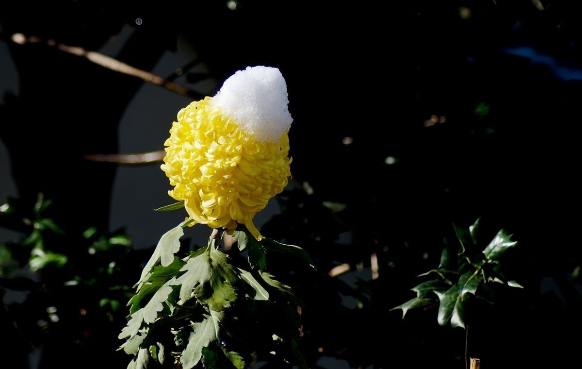 #版主坐堂#小五星空(中国)2022年1月精品荟萃