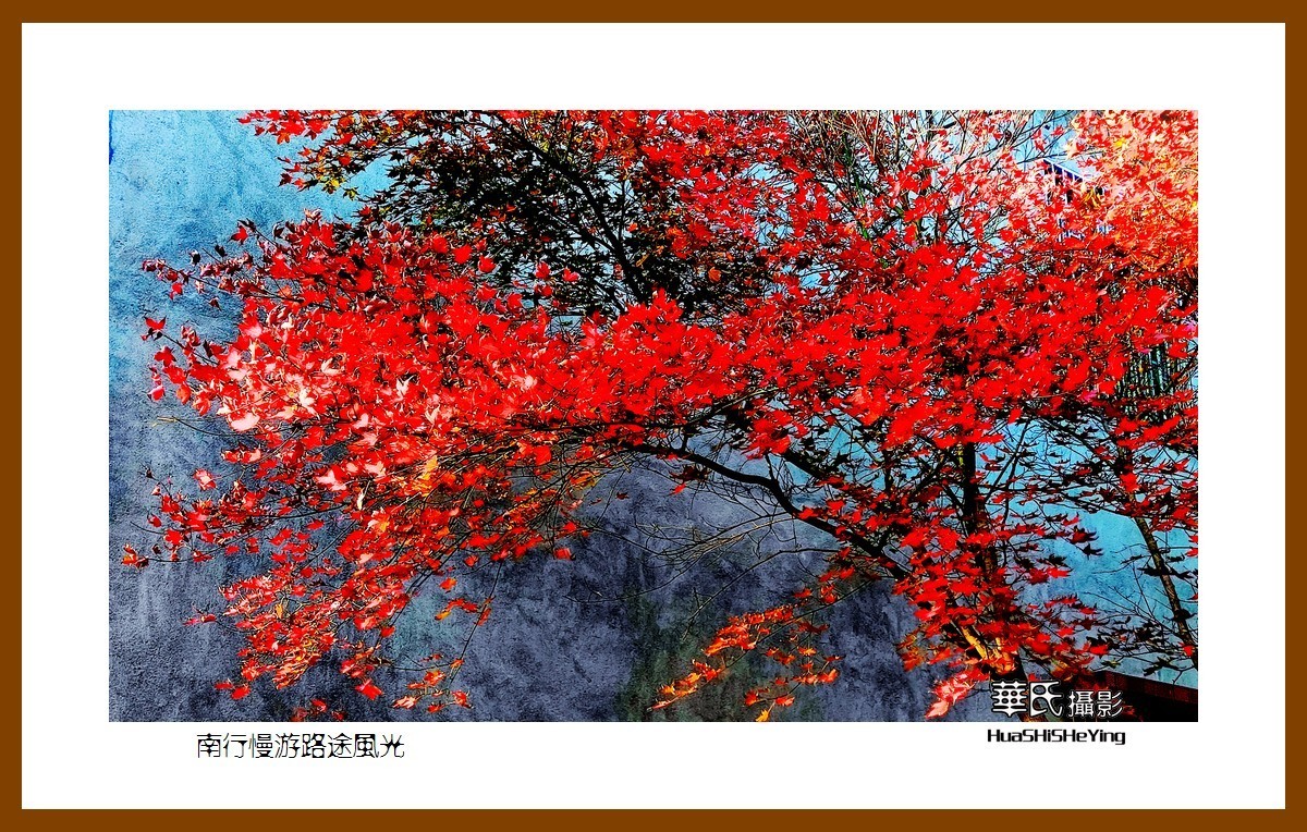 虎年赏旅途美景迎新春——祝福朋友们新春吉祥快乐