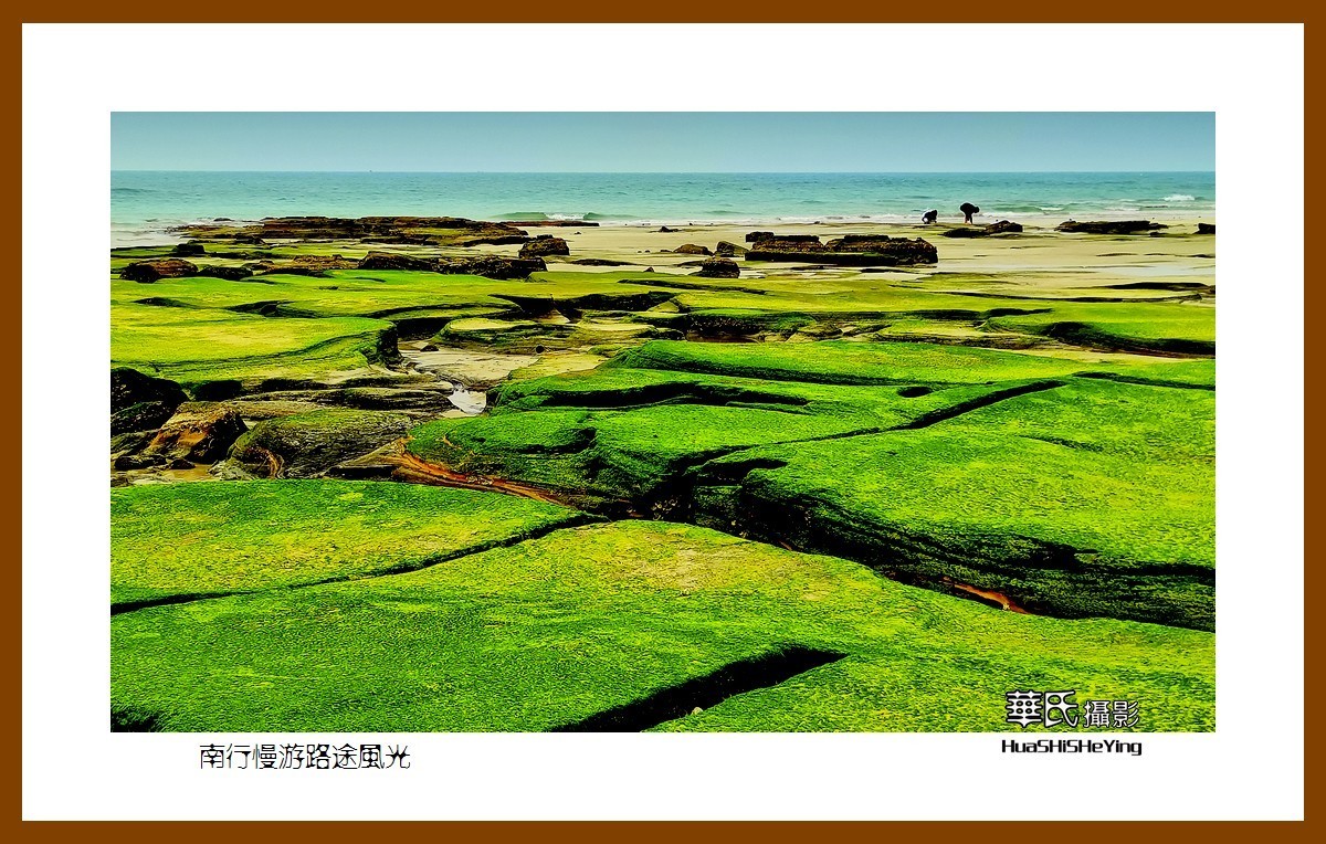 虎年赏旅途美景迎新春——祝福朋友们新春吉祥快乐