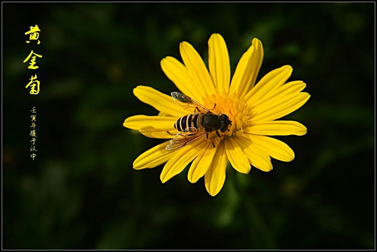 #版主坐堂#小五星空(中国)2022年11月精品荟萃