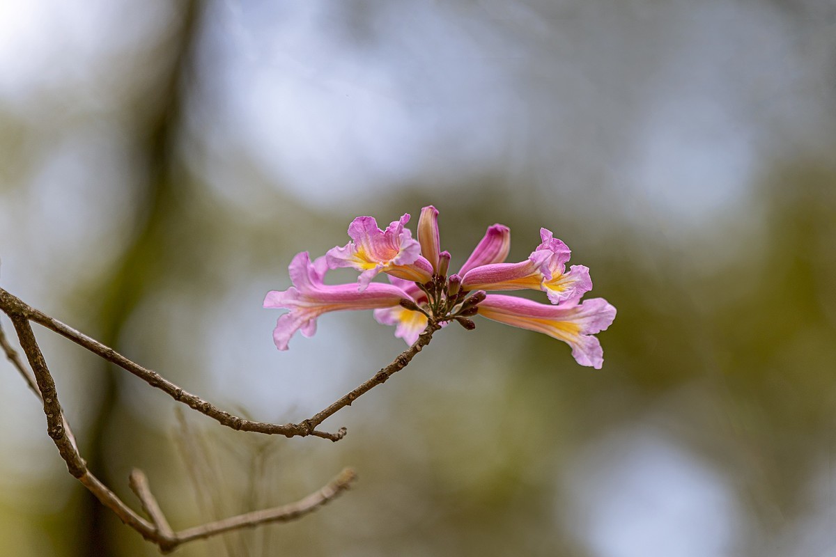#版主坐堂#小五星空(中国)2022年11月精品荟萃