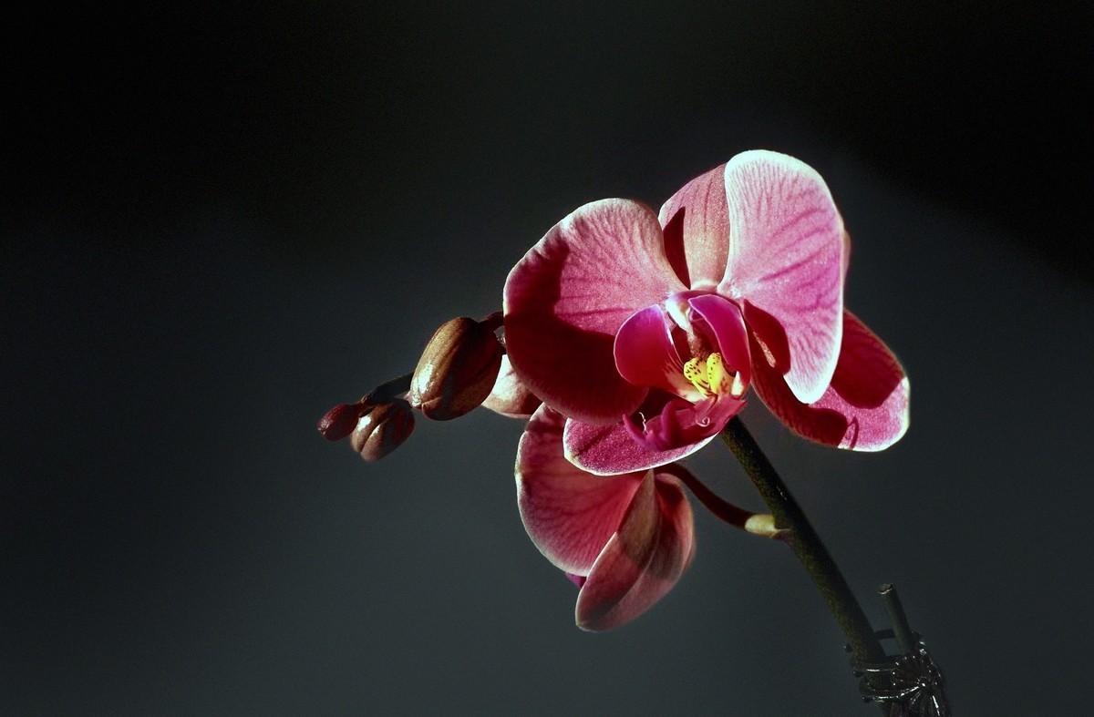 #版主坐堂#小五星空(中国)2022年11月精品荟萃