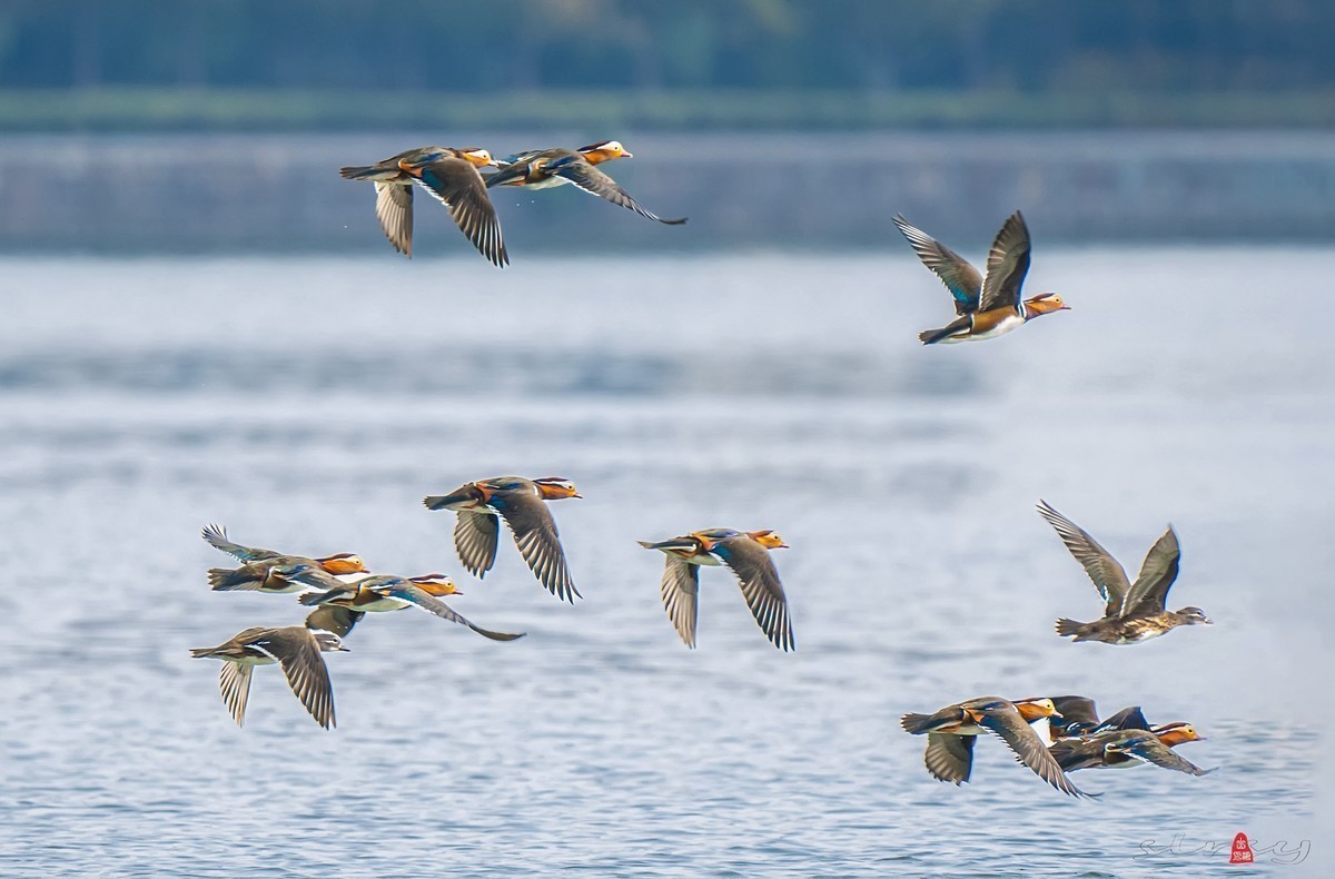 #版主坐堂#小五星空(中国)2022年11月精品荟萃